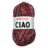Ciao Sockenwolle von Mondial, 4 fädig, 100 gr